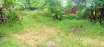 ചേർത്തല മുൻസിപ്പൽ ടൗണിൽ 5 സെന്റ് മെയിൻ റോഡ് സൈഡിൽ 4.80ലക്ഷം