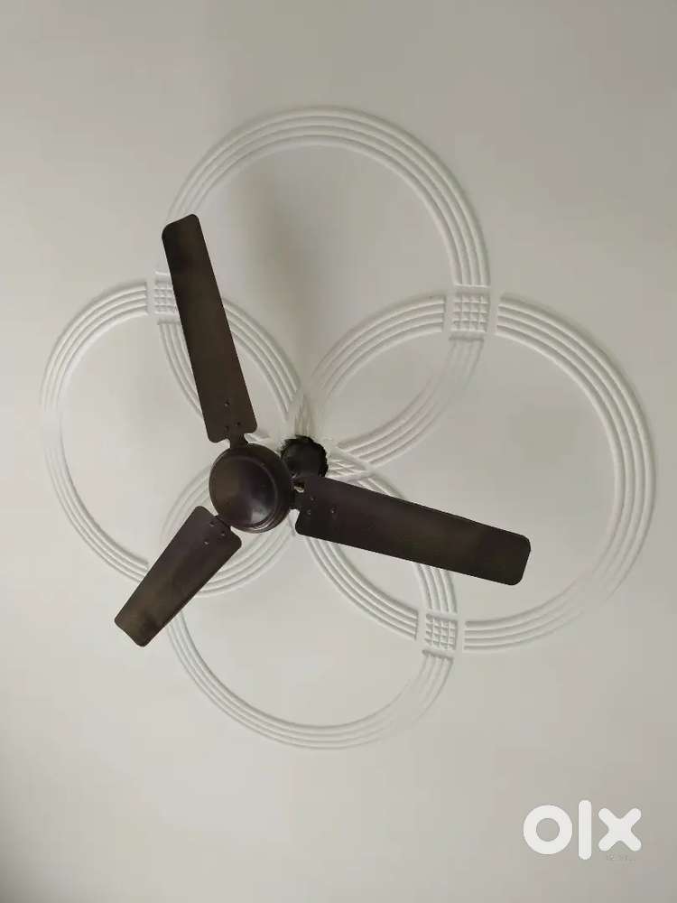 Ceiling Fan