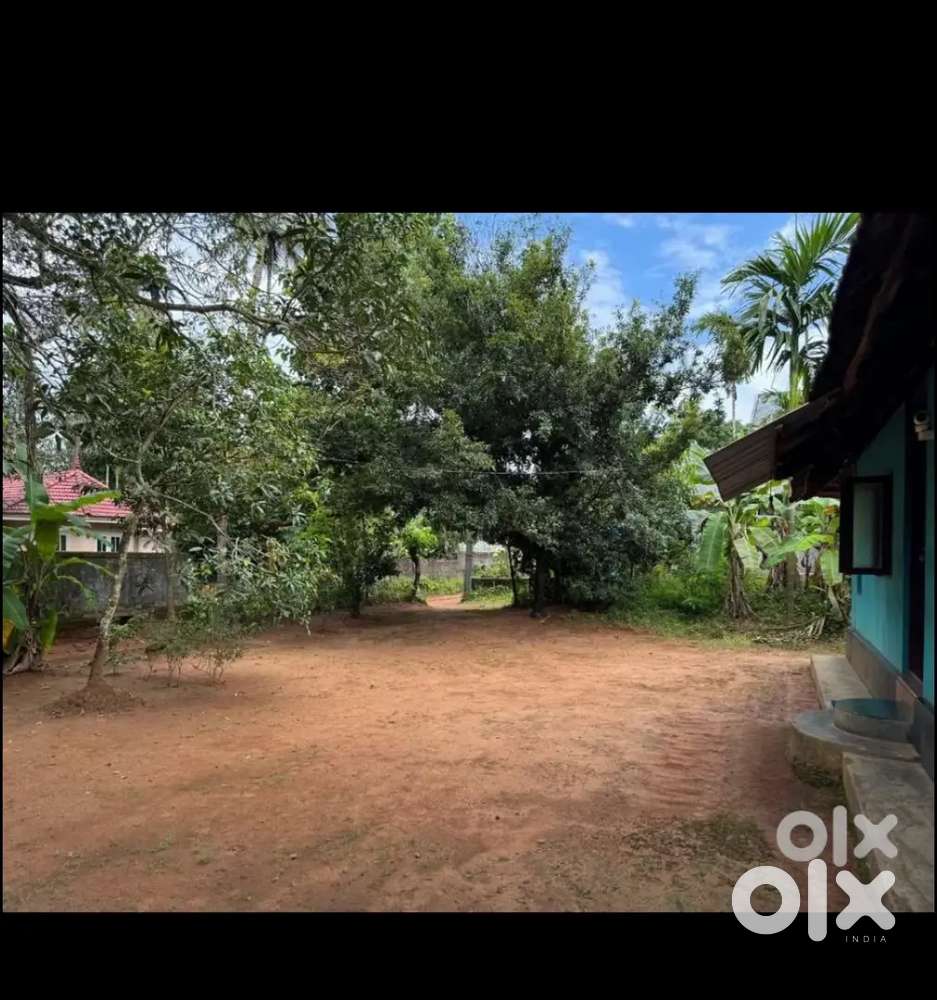 16.5 cent Residential plot for sale in Irinjalakuda, Thrissur,kerala