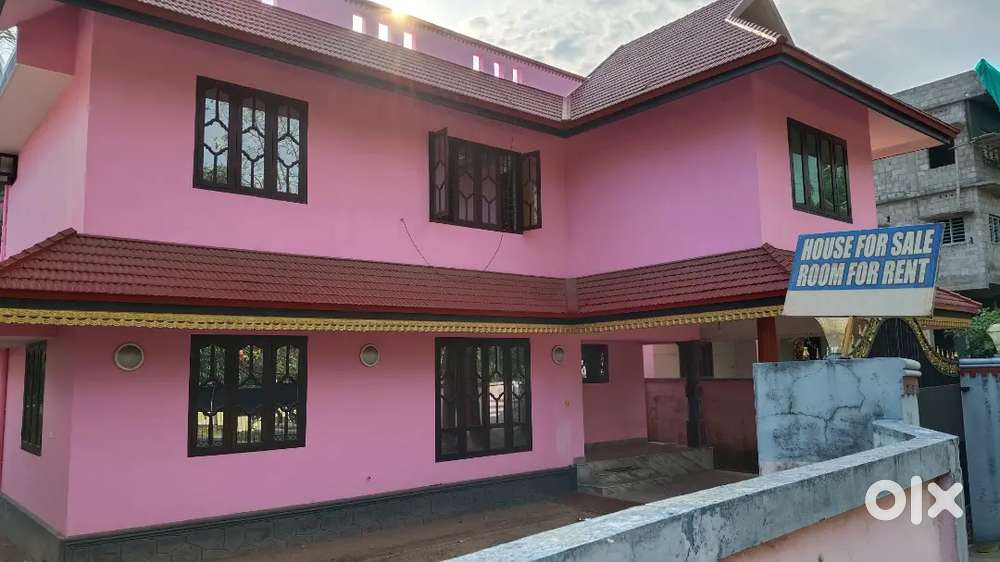 bachelors, family, couples allowed