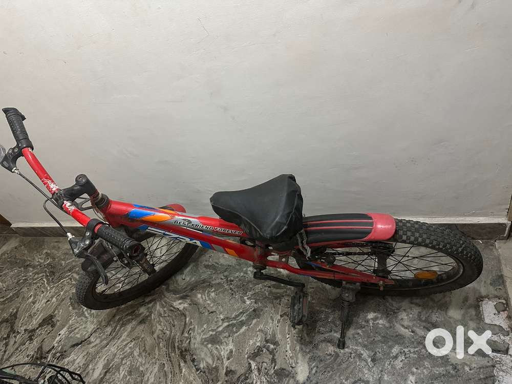 Bicycles of Neelam brand