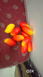 Imitation fruits for show case