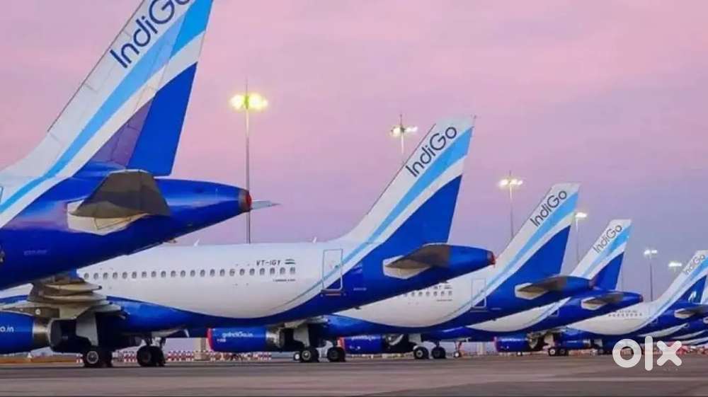 Hiring for Domestic and International Airport Jobs urgent apply.