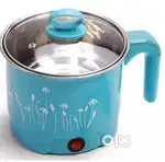 Kettle electric