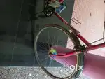 Hero hawk racing