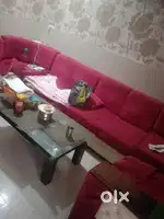 Rachna pg well furniture Mahesh Pura near medical college