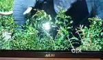 Sale 24inch LED TV Urgent