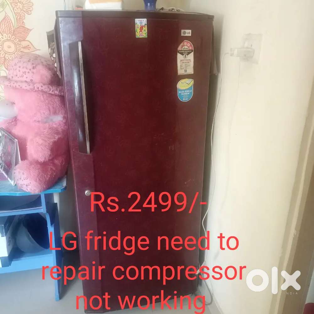 Fridge and washing machine