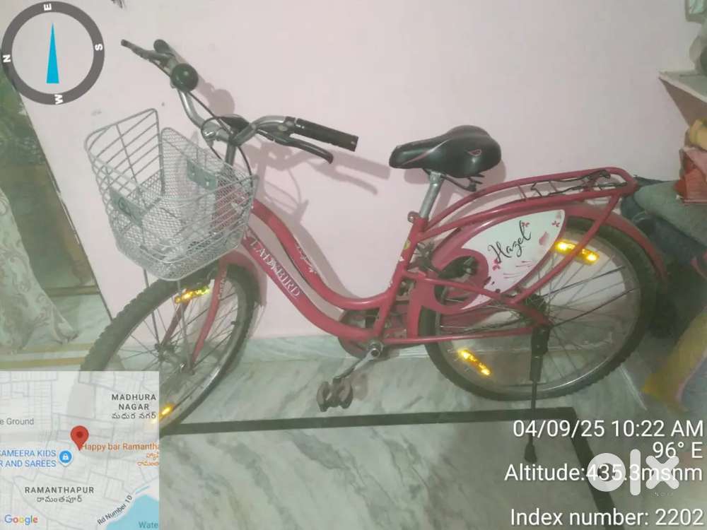 Ladybird cycle hazel