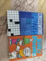Puzzle books