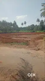 1 acre land for sale in Kinathukadavu -Acre 1.8 Crores