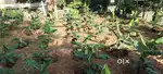 കരഭൂമി..5 cent.6 cent.square plot  road side. Per cent.2800000/lahks