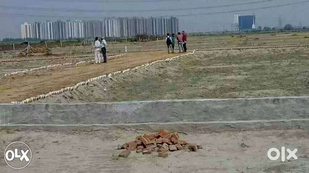 Invest in Sector 150 – The Greenest Sector of Noida