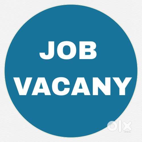 Job vacancy / waiter
