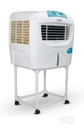 Symphony Sumo Jr. Desert Cooler with Trolley, Blower - 45L, White