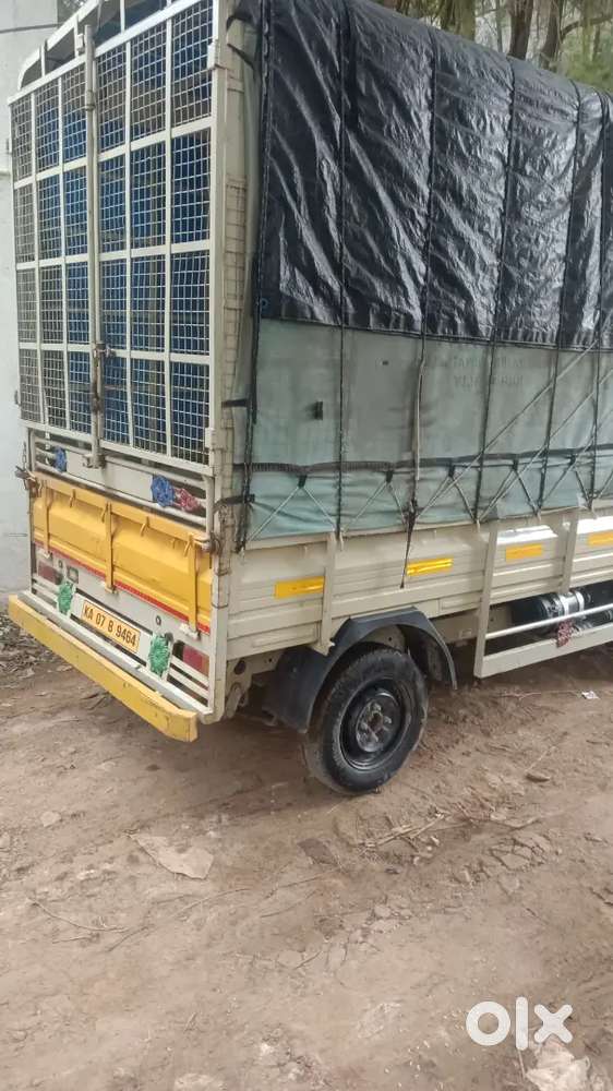 Need a driver for porter driving commision also available