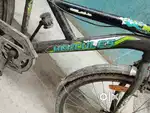 Mast ha bhai
