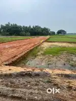 Gharabari Plot Sale