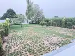450 sq yd comertial plot available