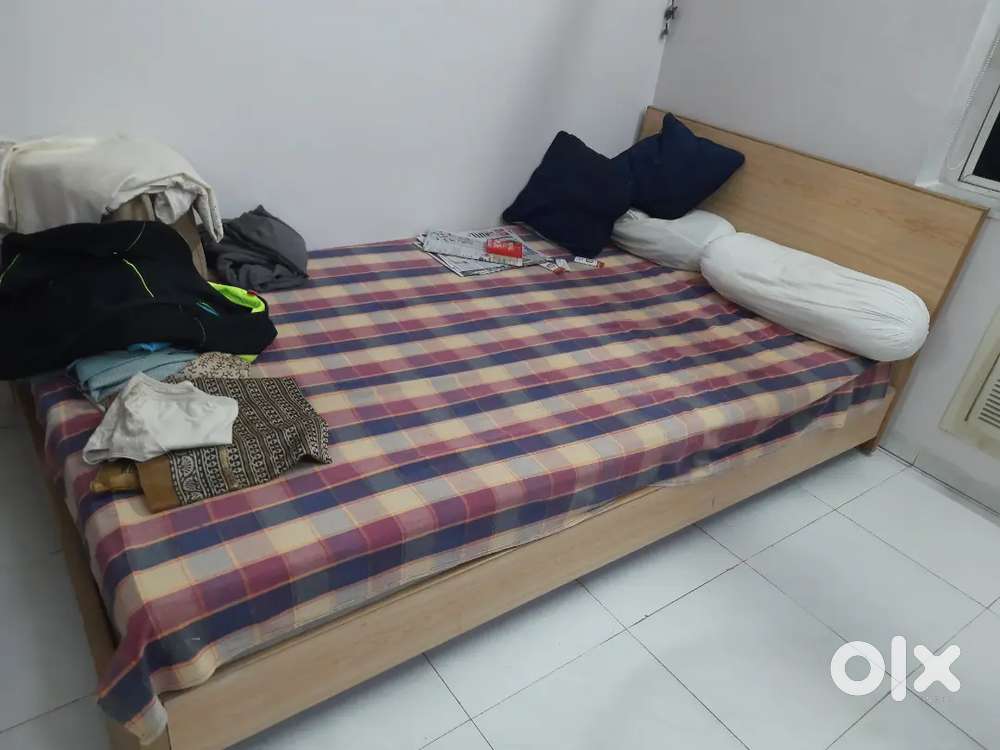 Premium designer single bed