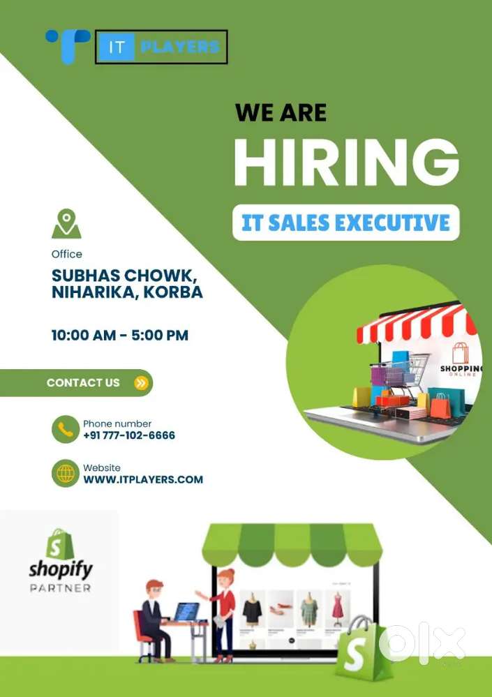IT Sales Executive