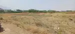 NGGO Colony near