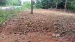 13 cents land near patla attradi