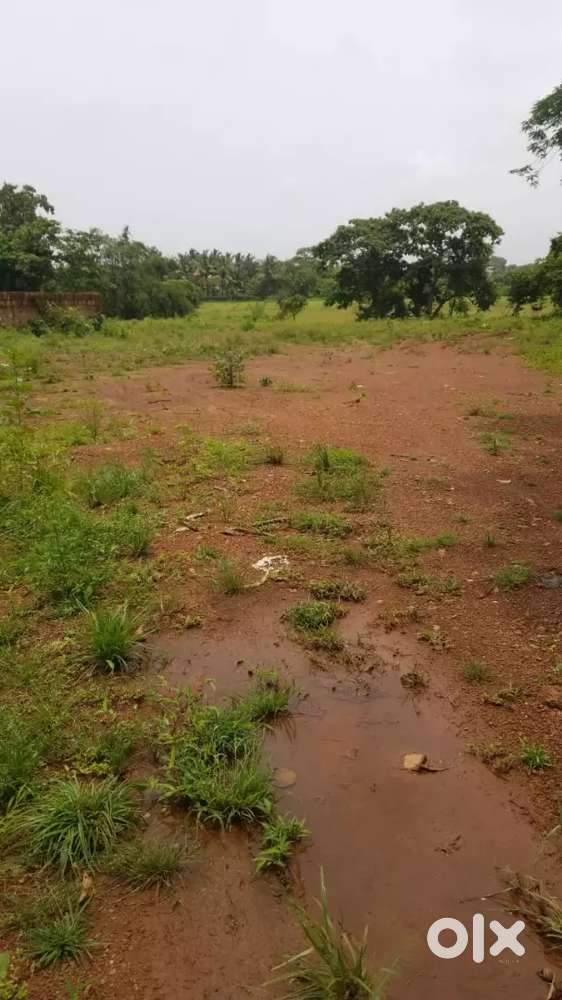 Check my description for multiple property2500sqmt plot in mandpa