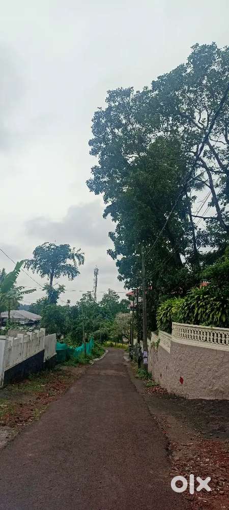 14 Cent,Prime house plot at divan kavala, Kottayam