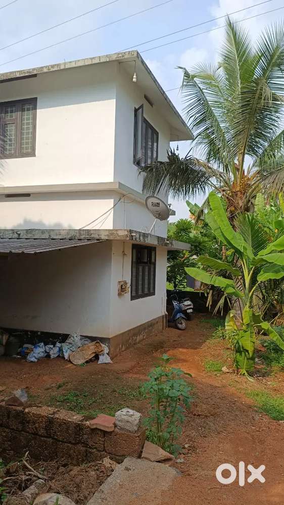Mankav near lulu 1.5 km