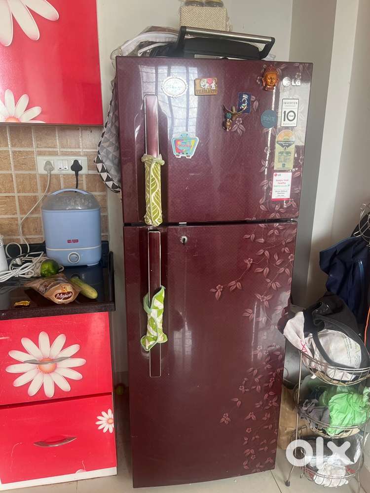 LG 289L double door fridge