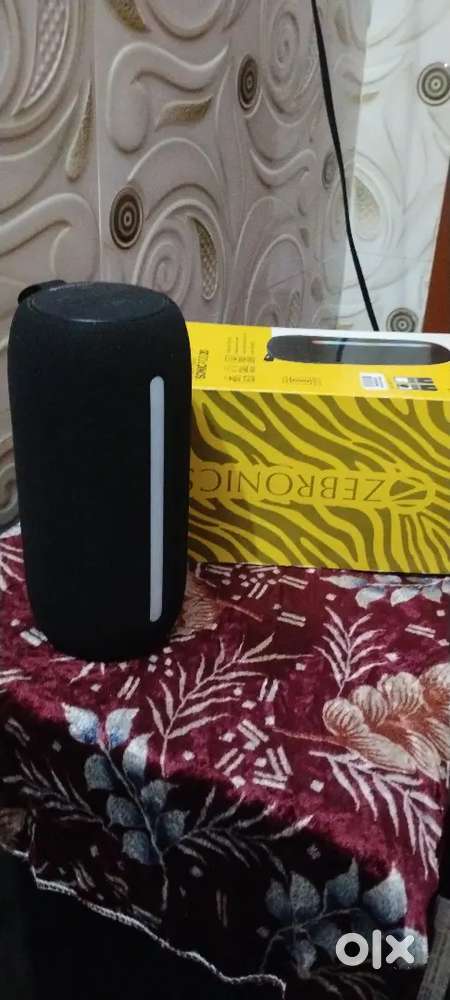 Zebronics sonic pod 20