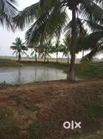 Agricultural land for sale- 5 acres 35 cent(50 lakh per acre)