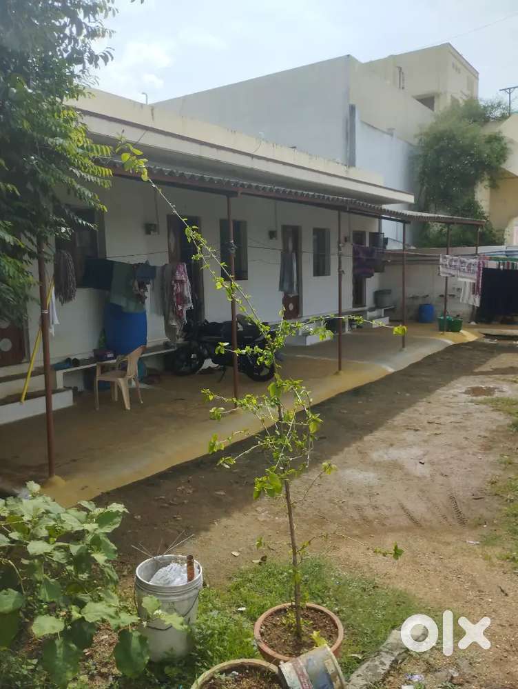 House for rent in less budget