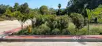 Plot for sale in Srinivasa mangapuram