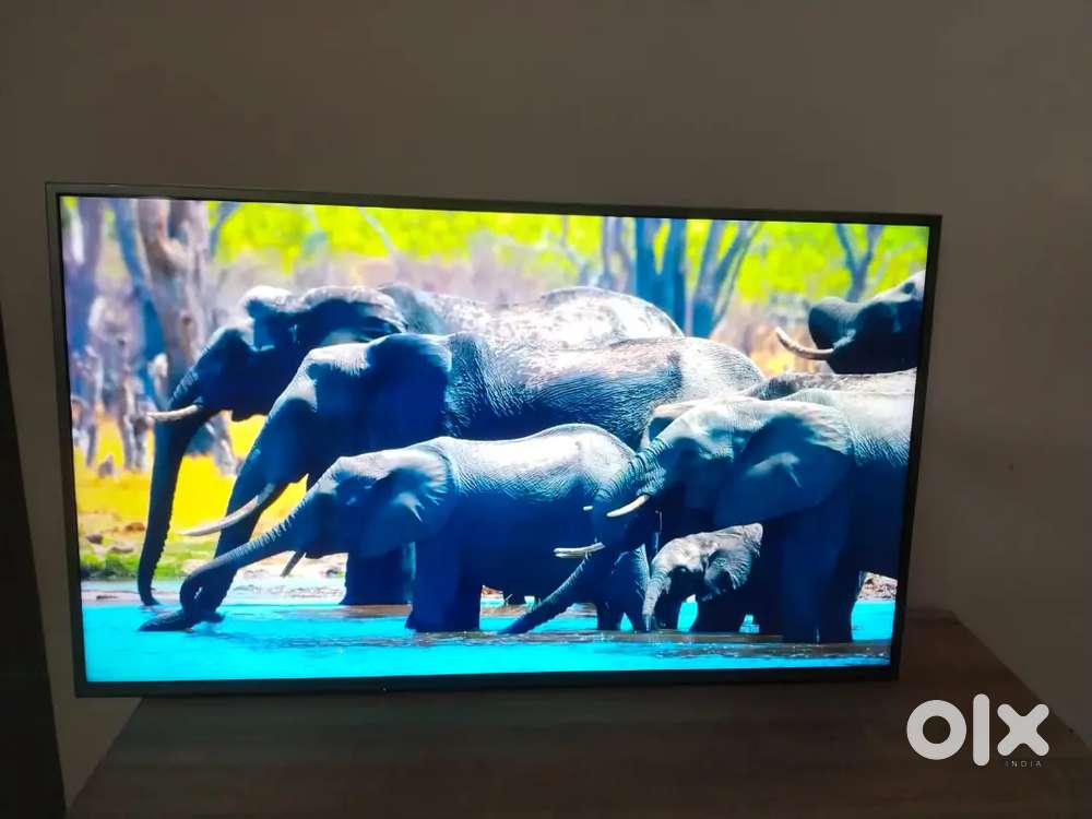 Panasonic tv for sale 50 inches 4 k tv  samar tv