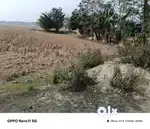 3 katha myadi land sale near backgate of Nalbari Medical College