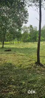 8 cent Housing Plot at Pariyaram Embet