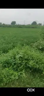 4 bigha jameen khuja me NH 34 se 6 km dur h
