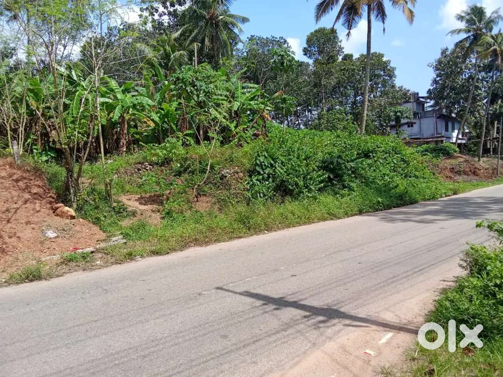 14 cent square plot for sale Pallivetta aryanad