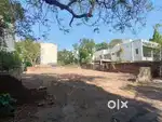 5100 Sq Ft Plot At Race Crouse Nr Pasha Bhai Park Prime Location