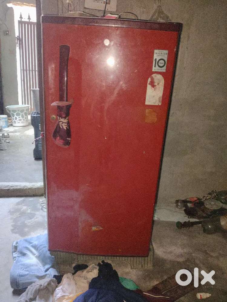 Lg campne frej ool ok kandesn