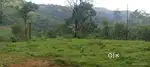 15 cent plot for sale@vagamon