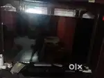 Samsung 65 inchesa