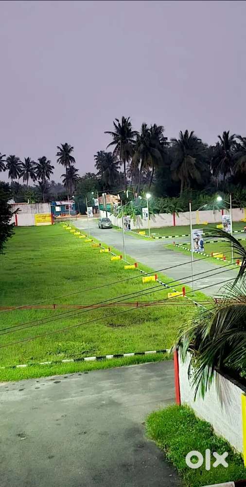 Making Realty dreams a reality ' your dreams home