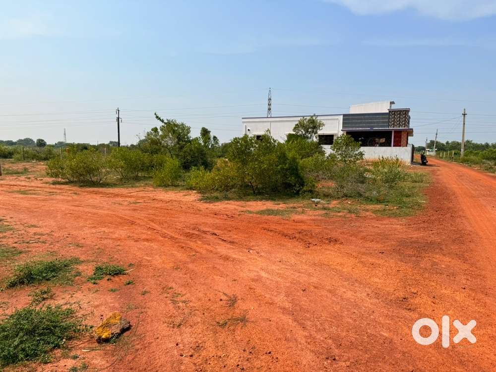 Residential Plot for Sale  A60  Teachers Colony, Karaikudi