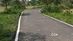 Cuttack biribati tarini Mandir NH5 500km