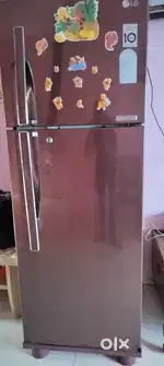 LG Fridge 100% no issues