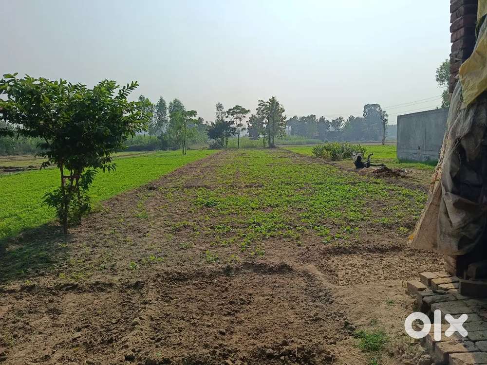 29 marle plot for sale paniar