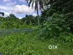 1 Poa Land Tinali Kokrajhar